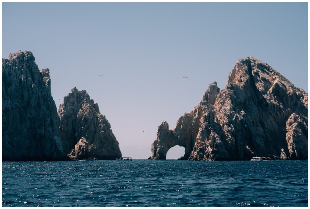 sea of cortez, baja california, mexico, cabo san lucas, whale watching, tour, sea lion, pelican, el arco, the arch, pacific ocean, gulf of california, travel photography, travel photographer, wanderlust, 