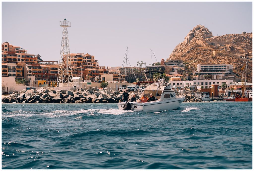 sea of cortez, baja california, mexico, cabo san lucas, whale watching, tour, sea lion, pelican, el arco, the arch, pacific ocean, gulf of california, travel photography, travel photographer, wanderlust, 