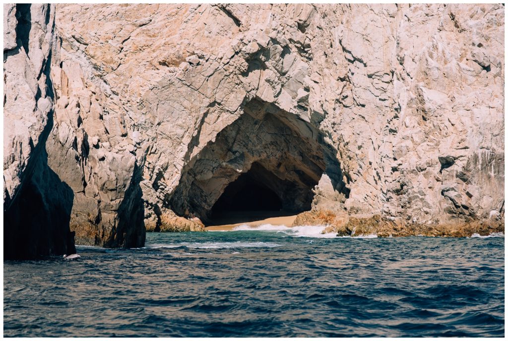 sea of cortez, baja california, mexico, cabo san lucas, whale watching, tour, sea lion, pelican, el arco, the arch, pacific ocean, gulf of california, travel photography, travel photographer, wanderlust, 