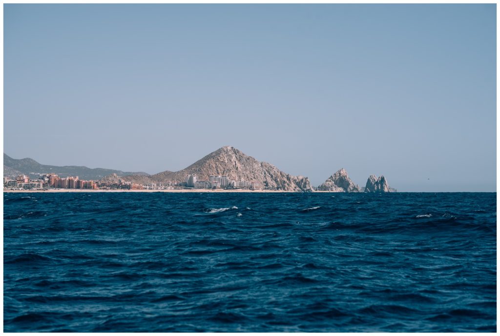 sea of cortez, baja california, mexico, cabo san lucas, whale watching, tour, sea lion, pelican, el arco, the arch, pacific ocean, gulf of california, travel photography, travel photographer, wanderlust, 