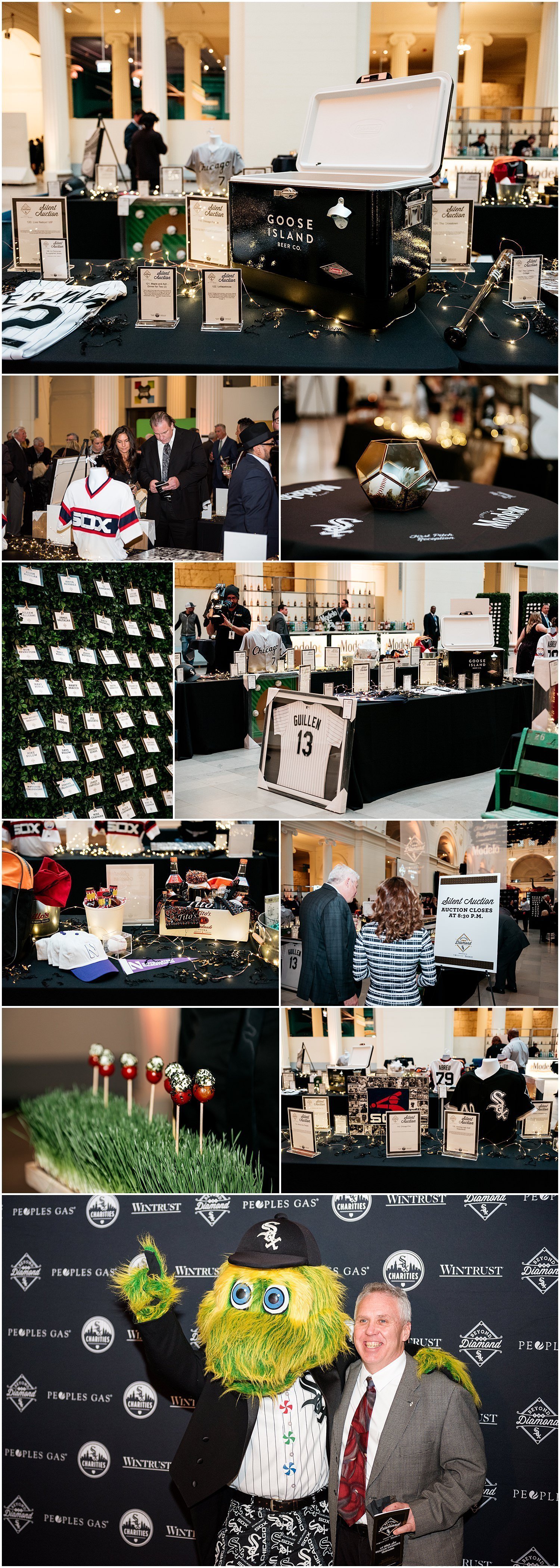 white sox, baseball, mlb, charity, event, photographer, photography, field museum, charities, beyond the diamond, chicago